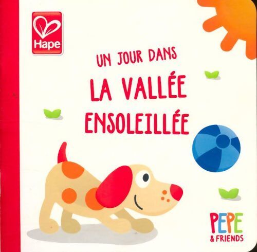 Un jour dans la vallée ensoleillée - Inconnu - Livre