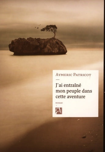 J'ai entraîné mon peuple dans cette aventure - Aymeric Patricot - Livre