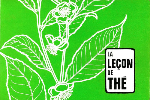 La leçon de thé - Collectif - Livre