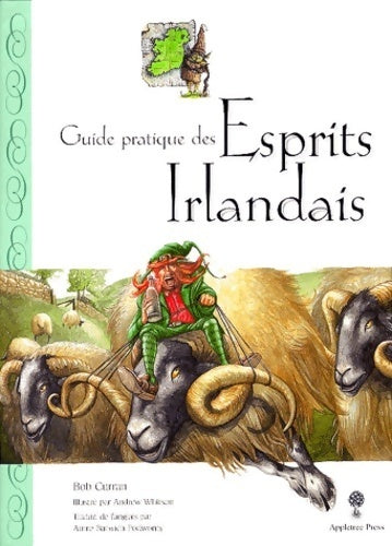 Guide pratique des esprits irlandais - Bob Curran - Livre