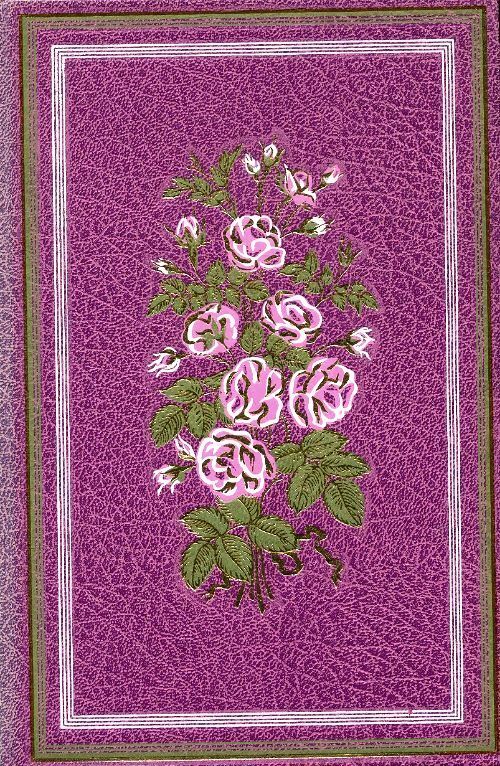 Diloy le chemineau - Comtesse De Ségur - Livre