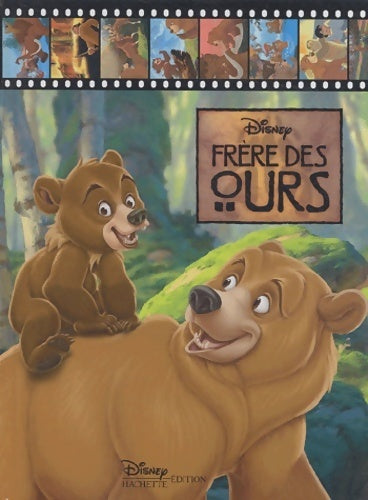 Frère des ours - Collectif - Livre