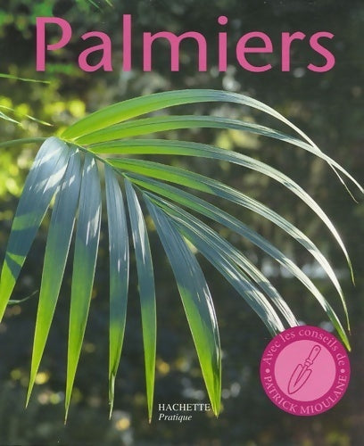 Palmiers - Halina Heitz - Livre