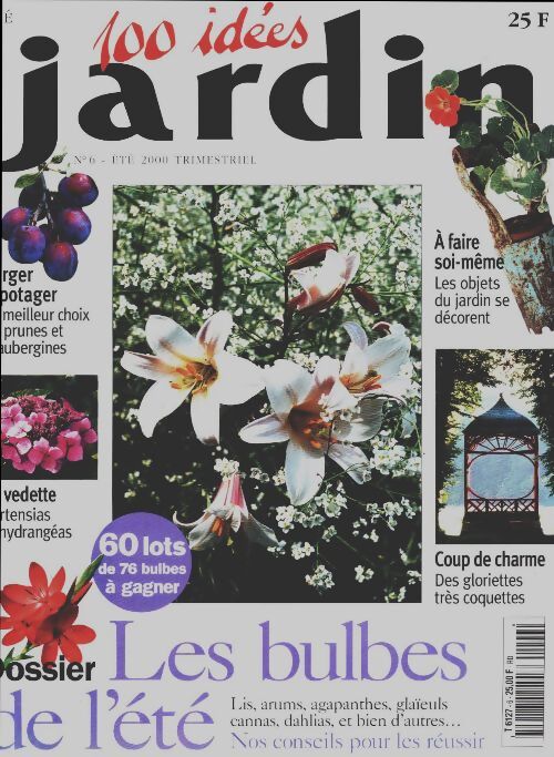 100 idées jardin n°6 : Les bulbes de l'été - Collectif - Livre