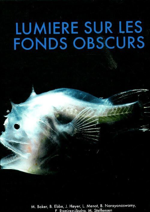 Lumière sur les fonds obscurs - Collectif - Livre