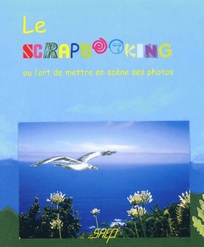 Le scrapbooking ou l'art de mettre en scène ses photos - Cécile Holveck - Livre