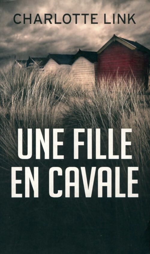 Une fille en cavale - Charlotte Link - Livre