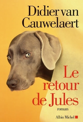 Le retour de Jules - Didier Van Cauwelaert - Livre