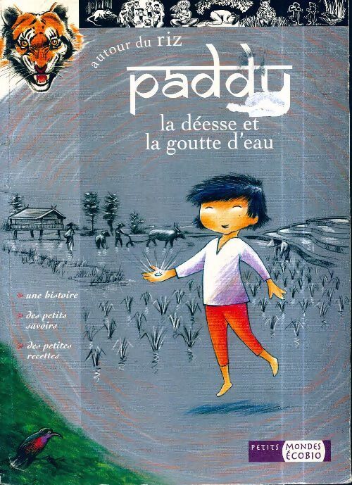 Paddy, la déesse et la goutte d eau - Magali Bryla - Livre