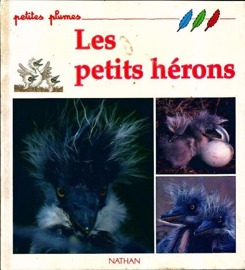 Les petits hérons - Nicolas Van Ingen - Livre