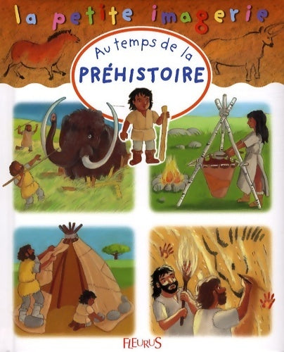 Au temps de la préhistoire - Emilie Beaumont - Livre
