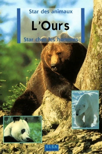 L'ours - Collectif - Livre