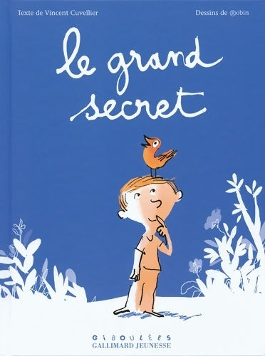Le grand secret - Vincent Cuvellier - Livre
