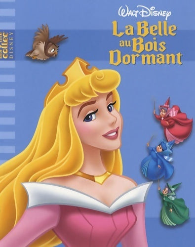 La belle au bois dormant - Disney - Livre