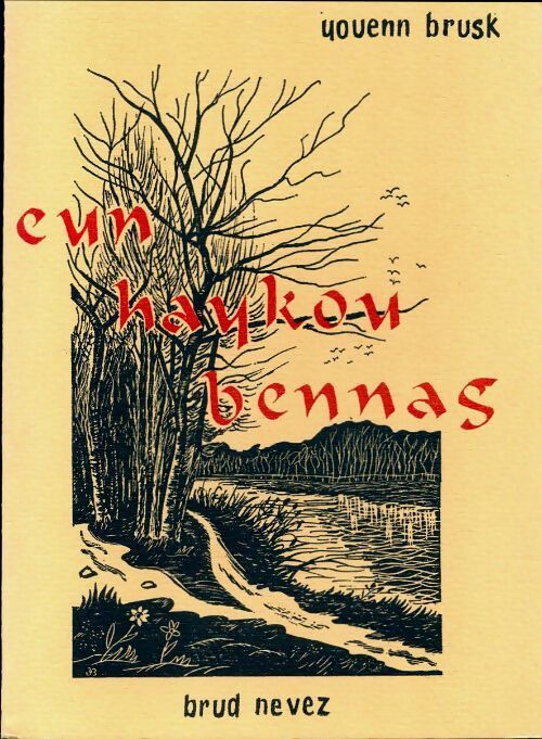 Eun Haykou bennag - Youenn Brusk - Livre