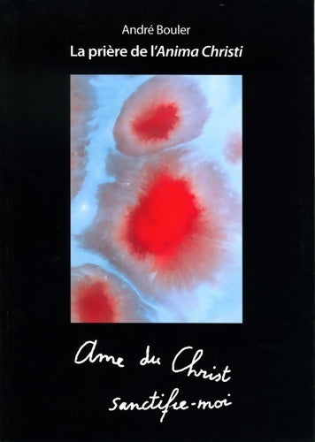 La prière de l'Anima Christi - André Bouler - Livre