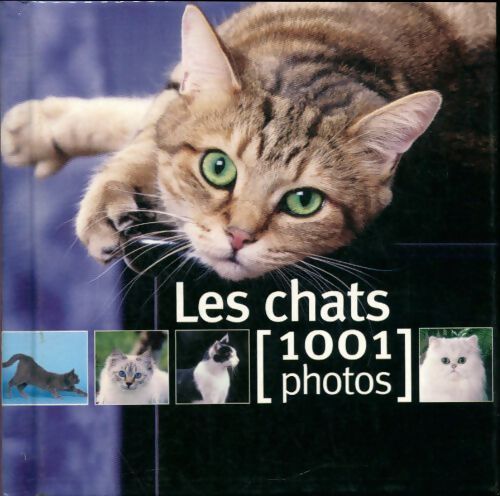 Les chats en 1001 photos - Collectif, Yves Lanceau - Livre