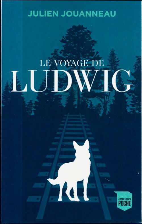 Le voyage de Ludovic - Julien Jouanneau - Livre