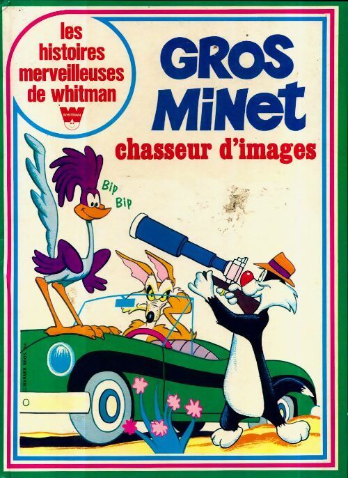Gros minet chasseur d'images - Collectif - Livre