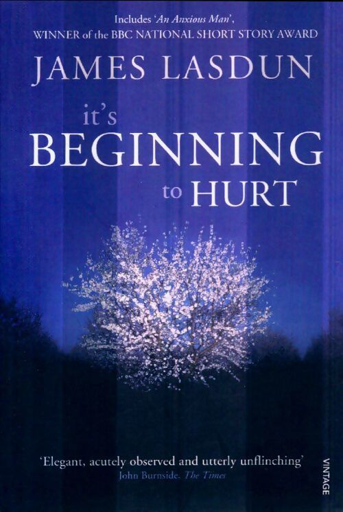 It's beginning to hurt - James Lasdun - Livre