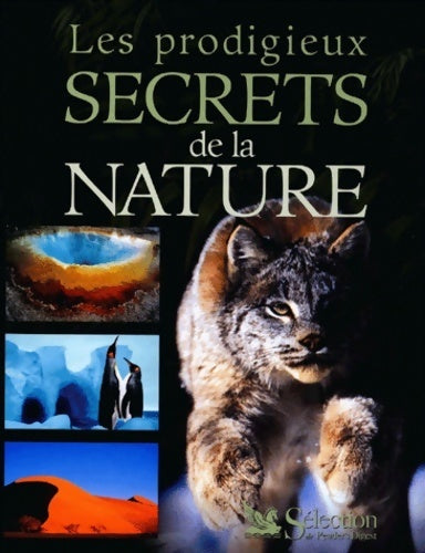 Model magazine n°52 : Drachenwagen - Collectif - Livre
