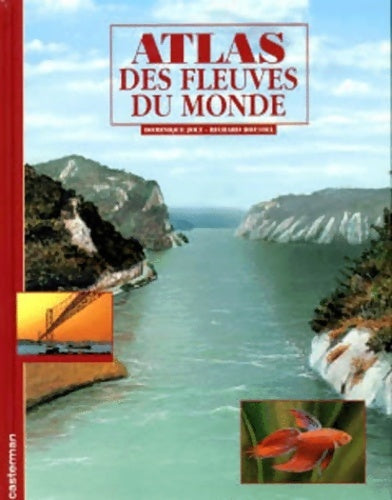 Pirouette n°46 - Collectif - Livre